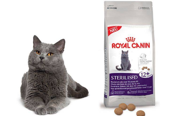 Корм для кошек роял канин файбер – особенности применения питания с лечебным составом