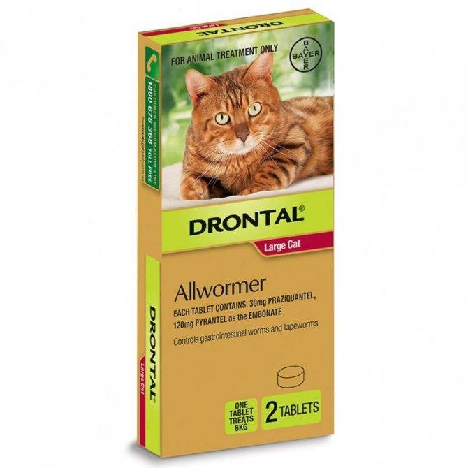 Дронтал (drontal): описание, рецепт, инструкция