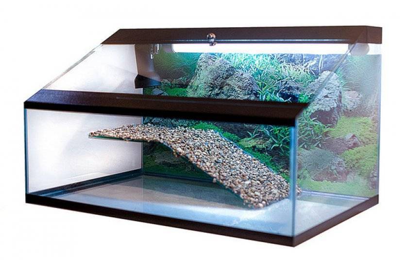 Как правильно обустроить аквариум для красноухих черепах