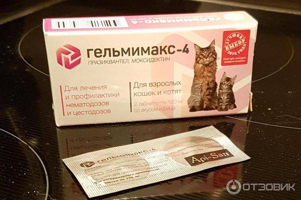 Капли на холку для кошек от глистов и других паразитов: обзор глистогонных препаратов