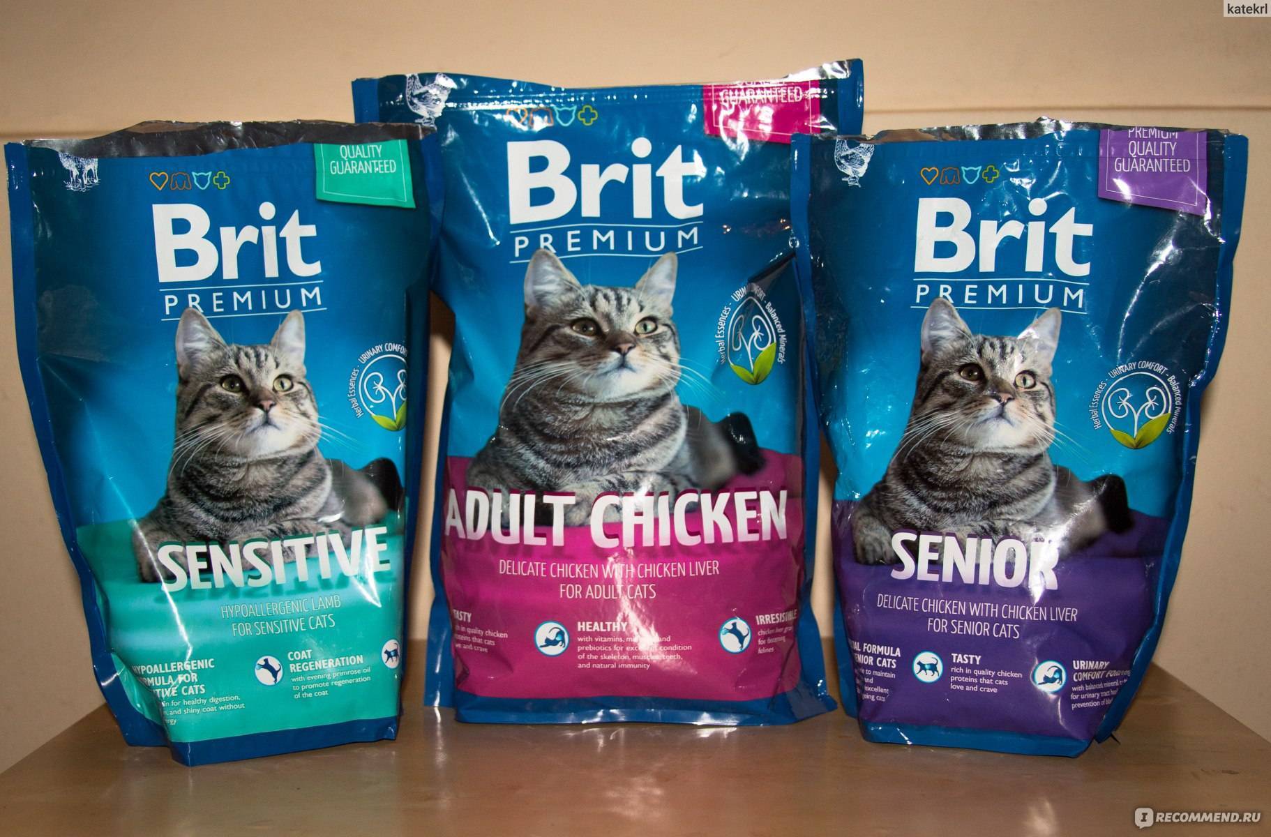 Корм brit care для кошек: в чем отличие? состав и отзывы +видео
