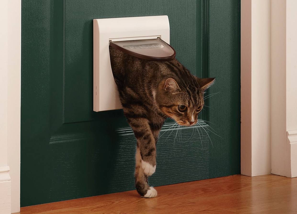 Двери для кошек — покупные или сделанные самостоятельно?