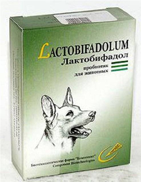 Пробиотики и пребиотики для собак: топ-15 препаратов