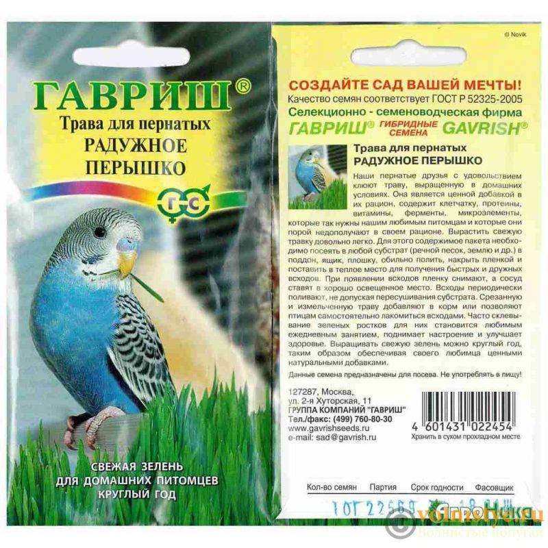 ᐉ можно ли попугаю петрушку, укром, зелень, траву - zoogradspb.ru