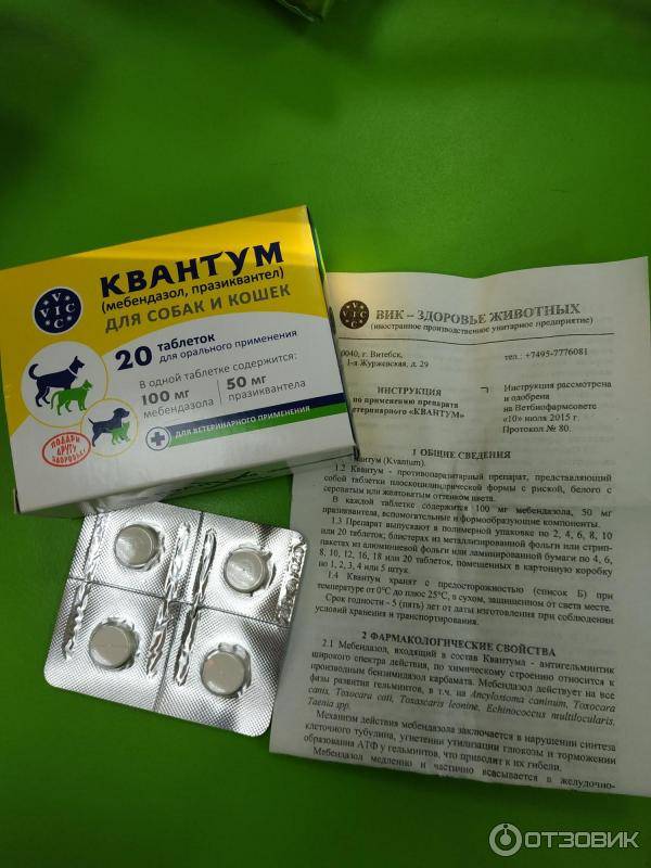 Эффективные таблетки от грибка-топ 15 противогрибковых лекарств