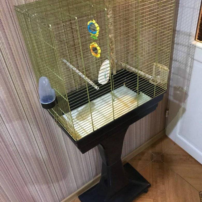 Как выбрать «мебель» для клетки с волнистым попугайчиком?