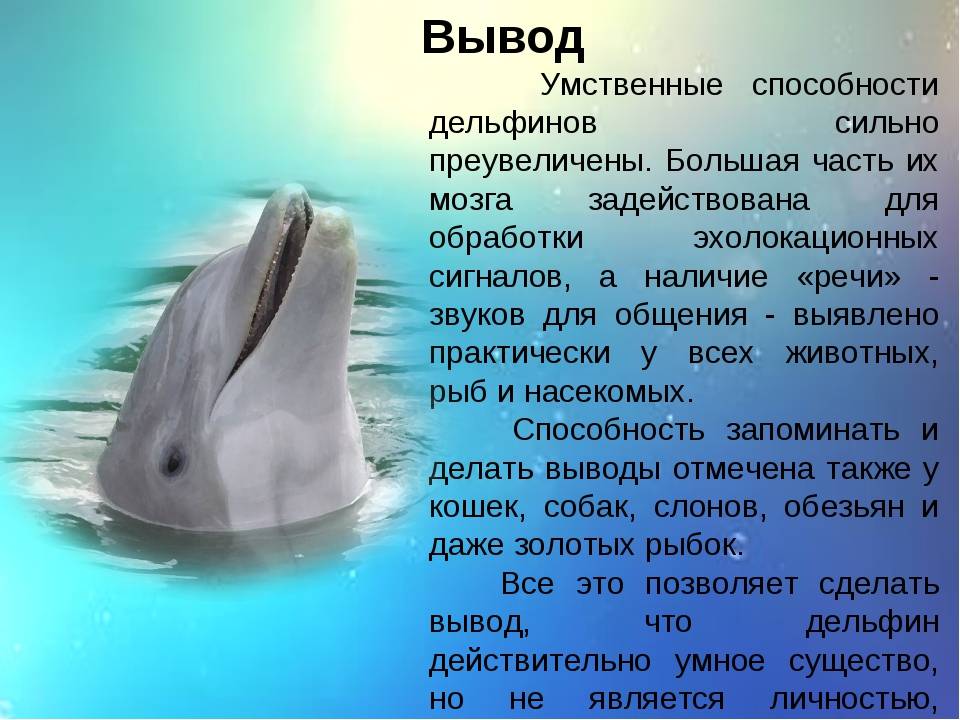 Примечания | российские ученые подобрались к разгадке языка и разума дельфинов