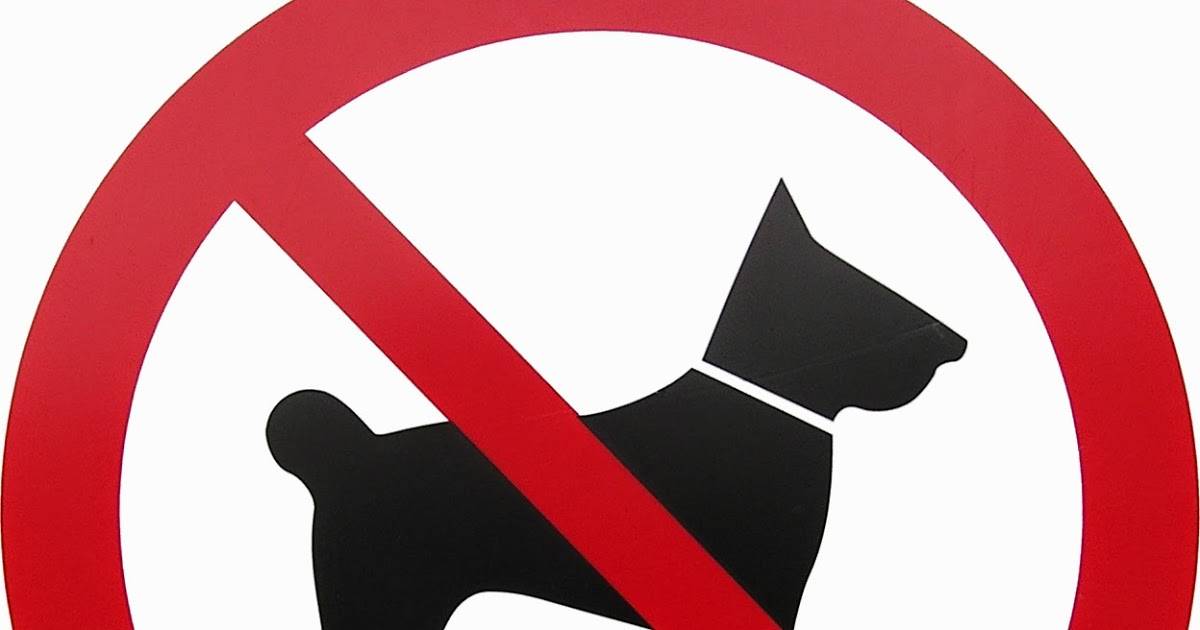 Организаторам нельзя. Знак с собаками нельзя. Знак запрет собак. Что нельзя собакам. Табличка с собакой запрещено.
