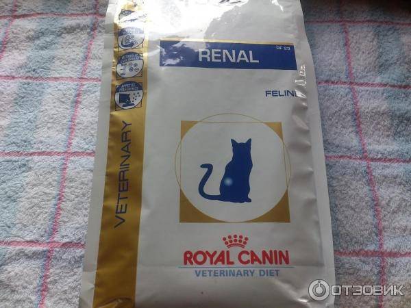 Препарат ренал – как правильно давать кошкам?
