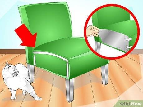 Как отучить кошку драть обои и мебель: советы и рекомендации экспертов
