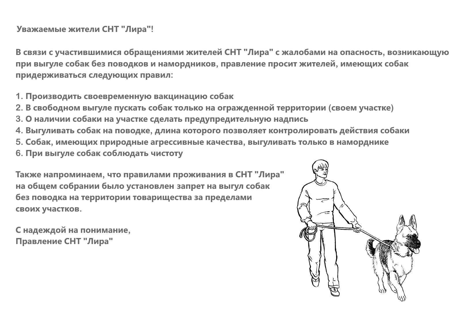 Ответственность за выгул собак в неположенном месте - юридическая консультация от jurist-str.ru