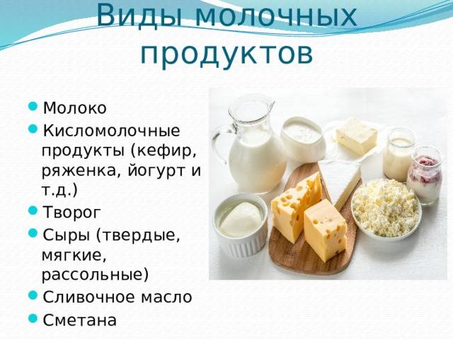 Можно ли хомякам молоко и молочные продукты? - ростки жизни