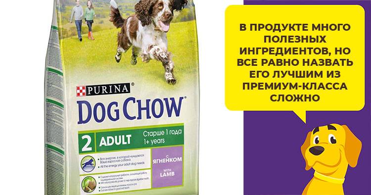 Сухой корм для собак "дог чау": отзывы, виды, состав :: syl.ru