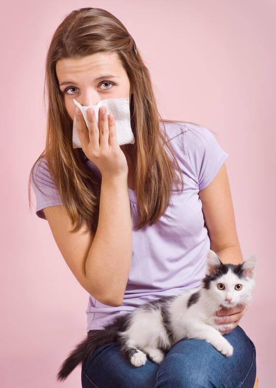 Как избавиться от аллергии на кошек: причины и симптомы