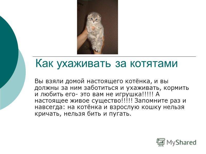 ᐉ кот дрожит во сне как будто мерзнет - zooshop-76.ru