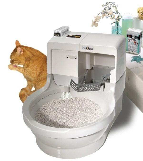 Биотуалет для кошки: плюсы и минусы самоочищающихся закрытых туалетов для кошек