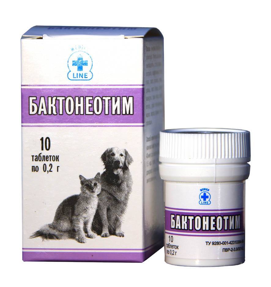 Пробиотики для собак: список самых популярных марок | звери дома