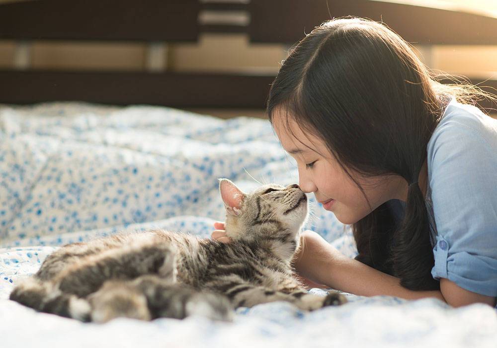 10 вредных привычек кошек, которые мы воспитываем сами