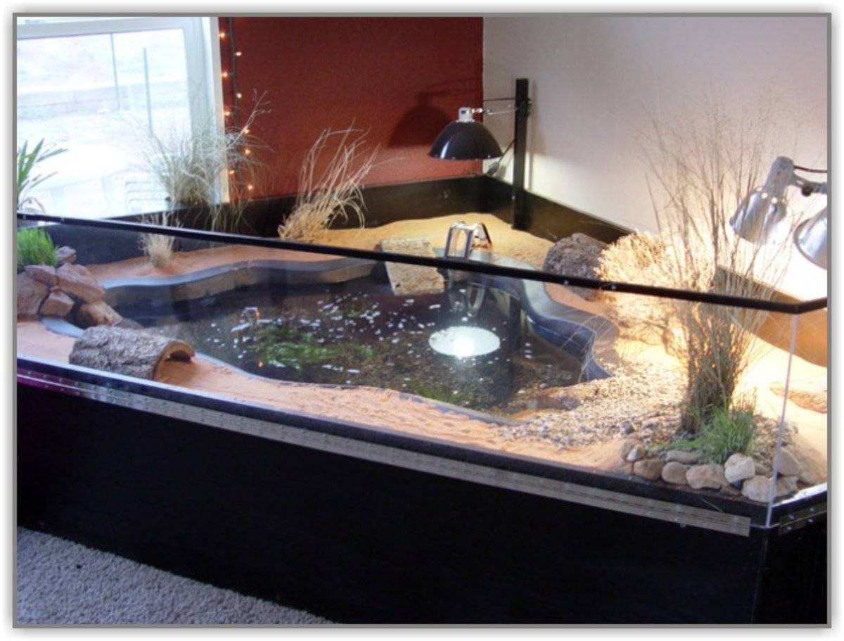 Выбираем и обустраиваем аквариум для водной черепахи