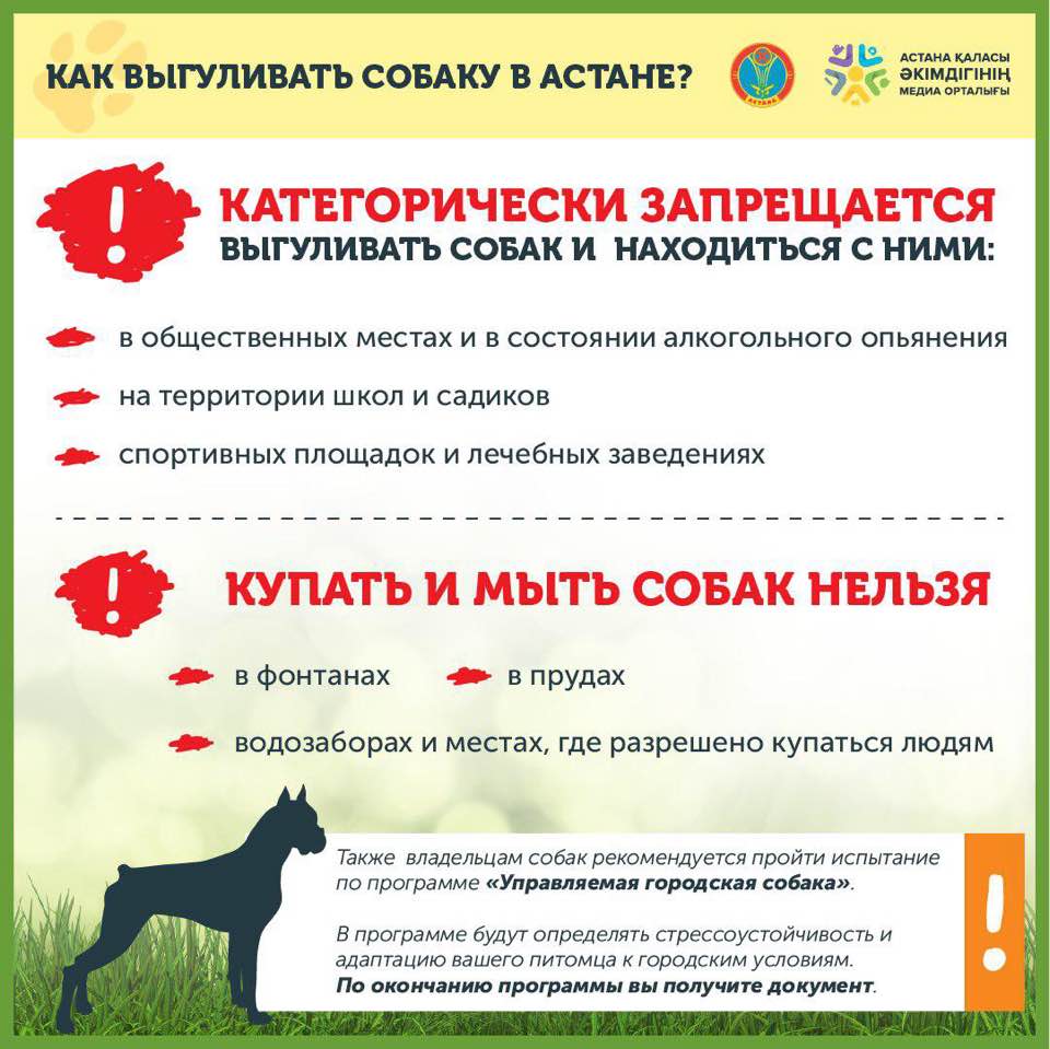 Закон и правила выгула собак в россии: где можно гулять, а также о намордниках, поводках и ответственности за их отсутствие