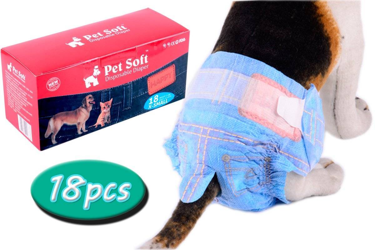 Памперсы для котов и кошек: особенности выбора и использования подгузников для котят и взрослых животных