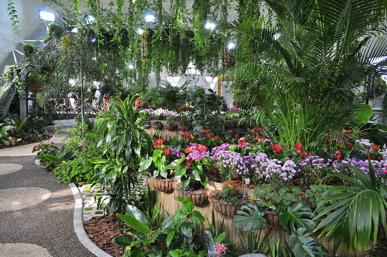 Национальный сад орхидей в сингапуре | парк бабочек в сингапуре