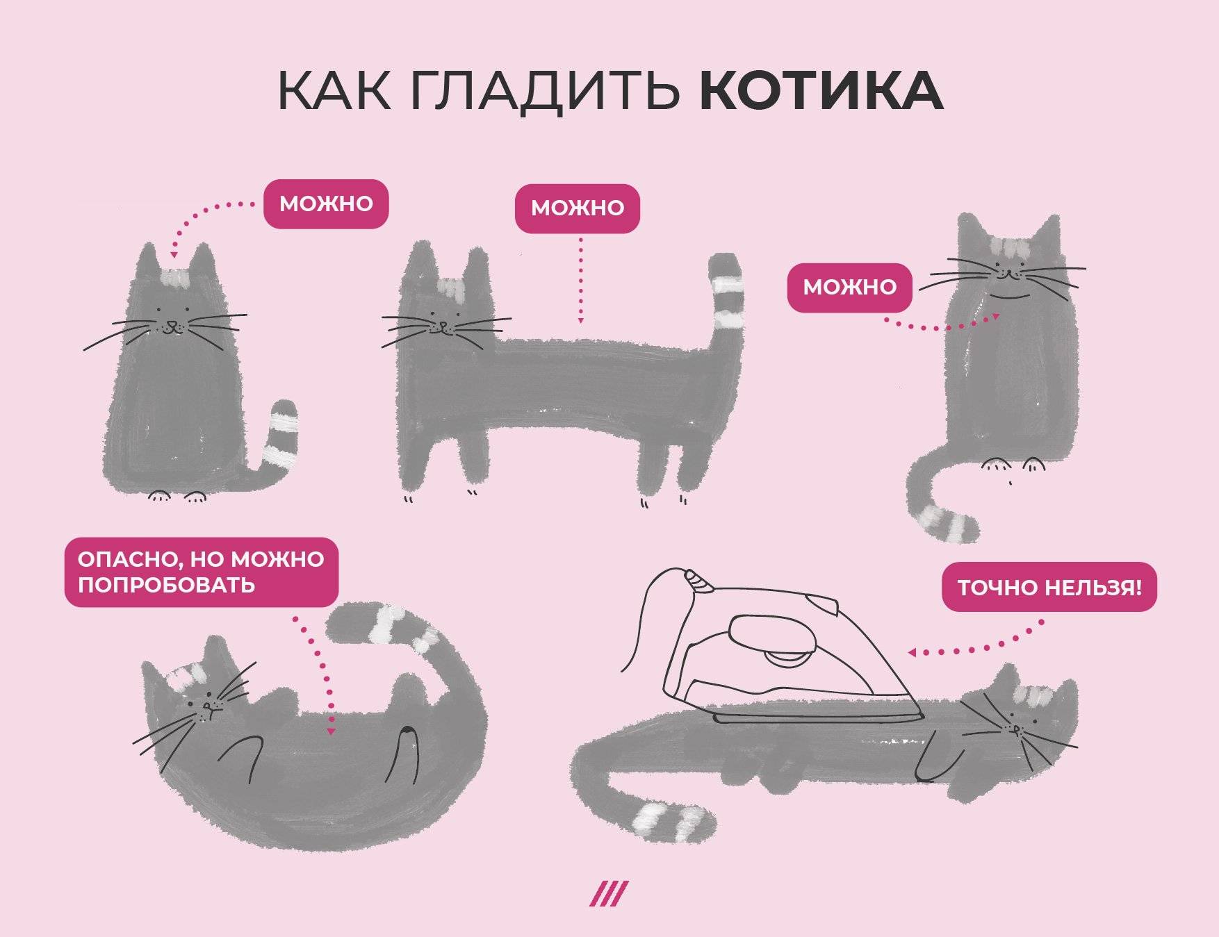 Как правильно гладить кошек: 12 шагов