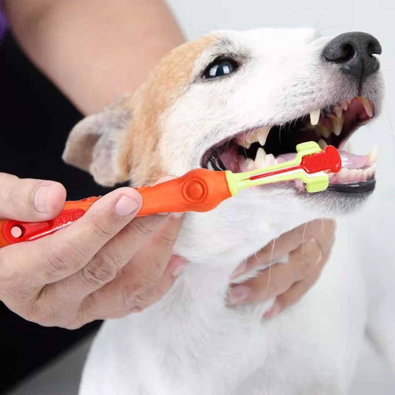 Чистка зубов собаке гигиеническая в домашних условиях