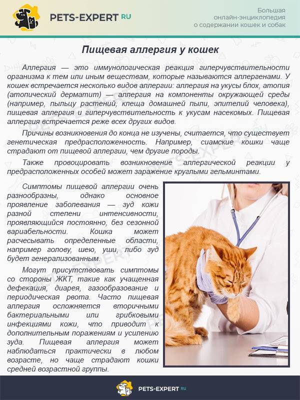 Аллерген e1 - эпителий и перхоть кошки, ige (immunocap): исследования в лаборатории kdlmed