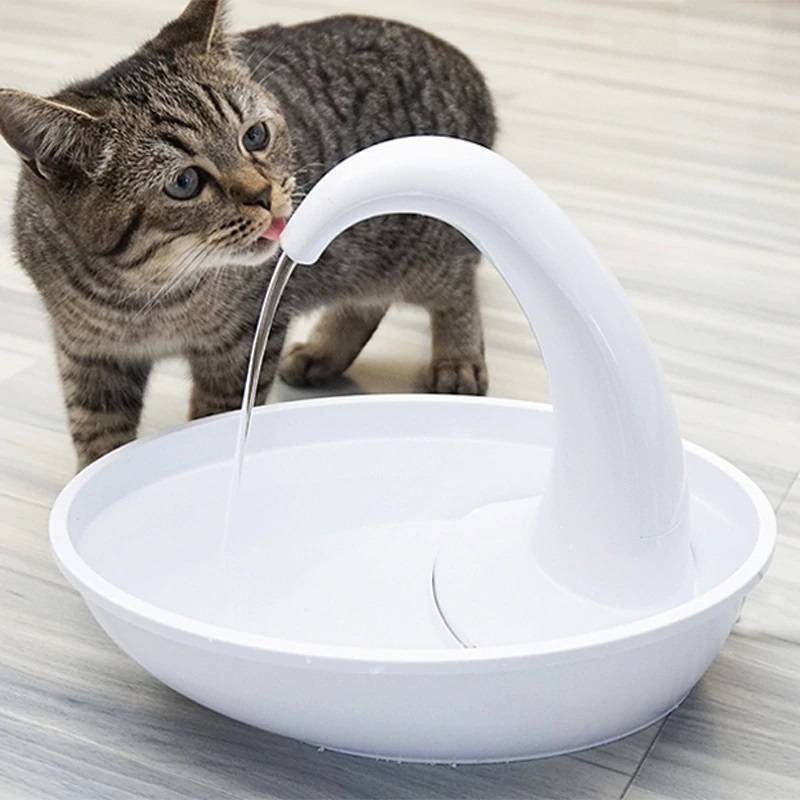 Обзор поилок для кошки: создание автоматического фонтанчика собственноручно