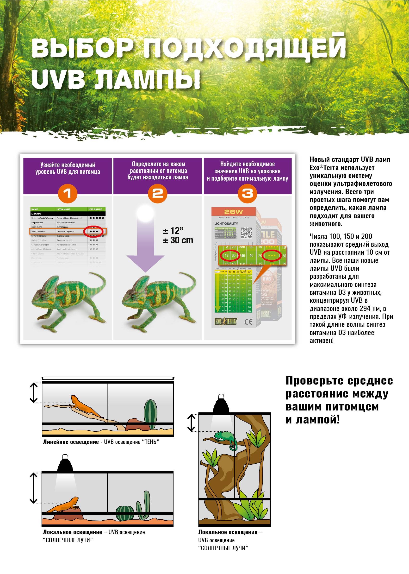 Как выбрать ультрафиолетовую (уф) лампу для красноухих черепах и других рептилий