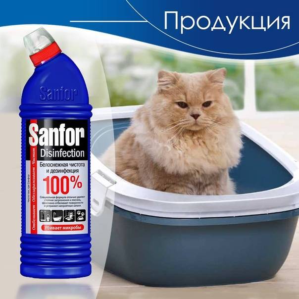 Как пользоваться лотком для кошек: с решеткой, как заполнять и мыть, как правильно убирать наполнитель и как часто его нужно менять