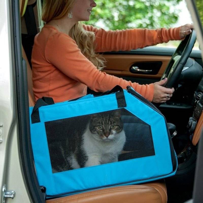 Как перевозить кошку в машине.   счастливый кот — la-murmur.ru