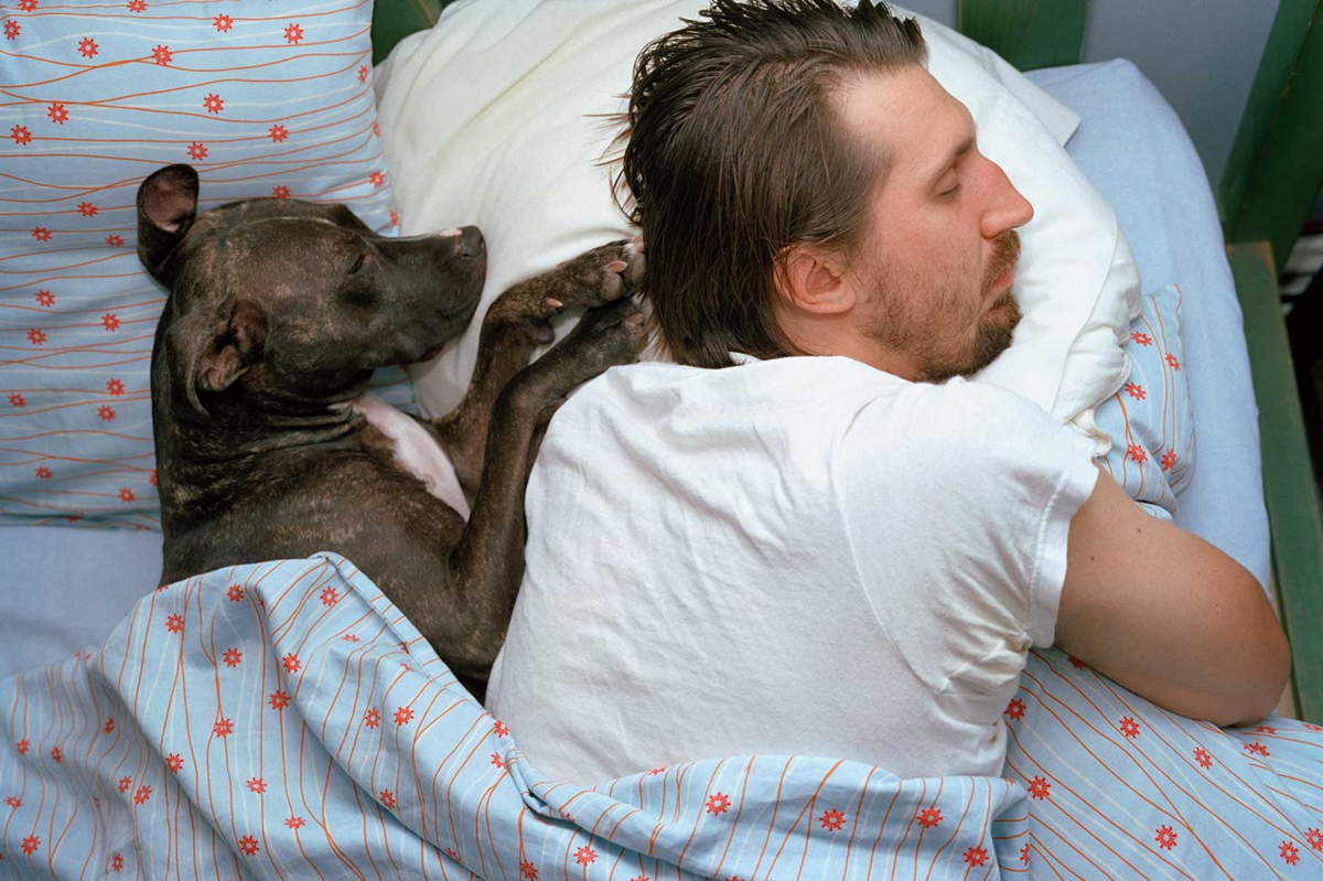 Почему собаки любят спать с хозяином: объяснения опытных заводчиков