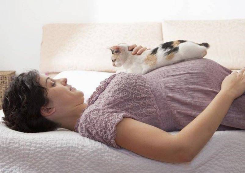 6 причин, почему кошки спят на человеке