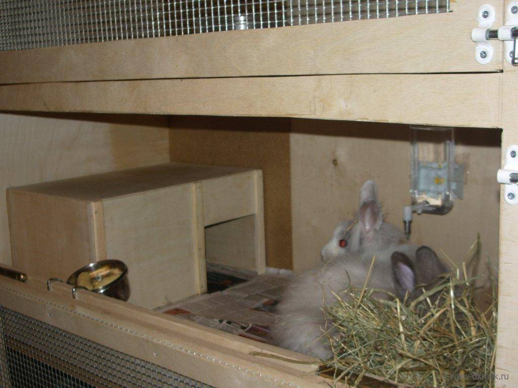Как построить и обустроить домик для кролика своими руками в домашних условиях