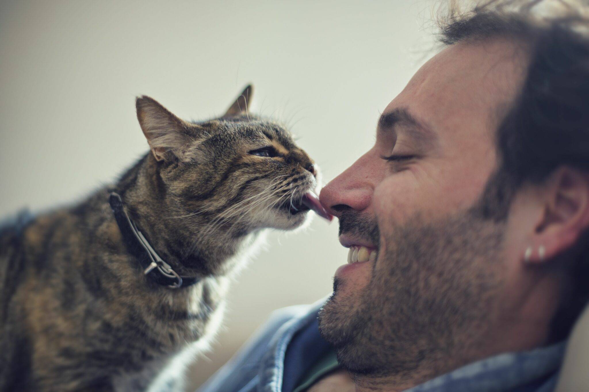 Хозяин для кошки – тот, с кем она безраздельно счастлива: как коты его выбирают