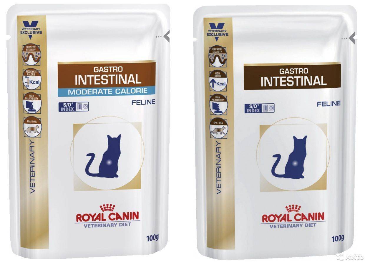 Роял канин гастро интестинал для кошек: состав корма