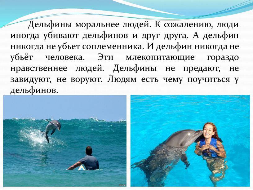 Люди океана: цивилизация дельфинов