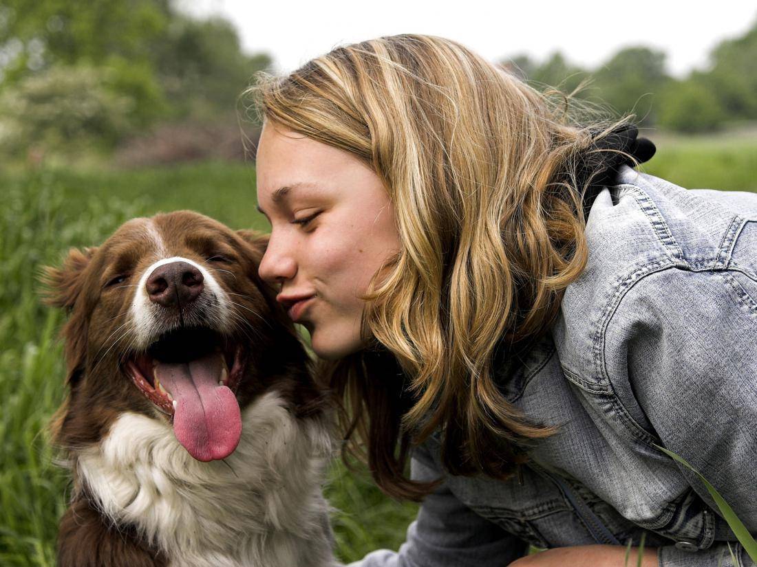 ᐉ 5 улыбающихся пород собак: могут ли собаки улыбаться - kcc-zoo.ru