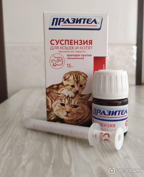 Празител таблетки для кошек и котят