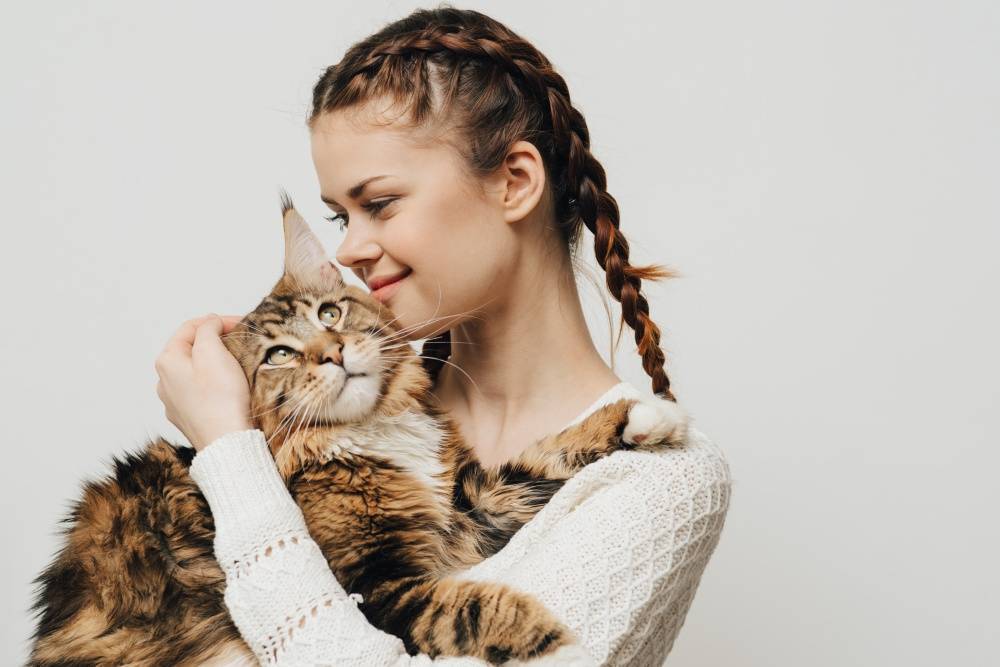 7 ошибок, которые совершают некоторые хозяева кошек - gafki.ru