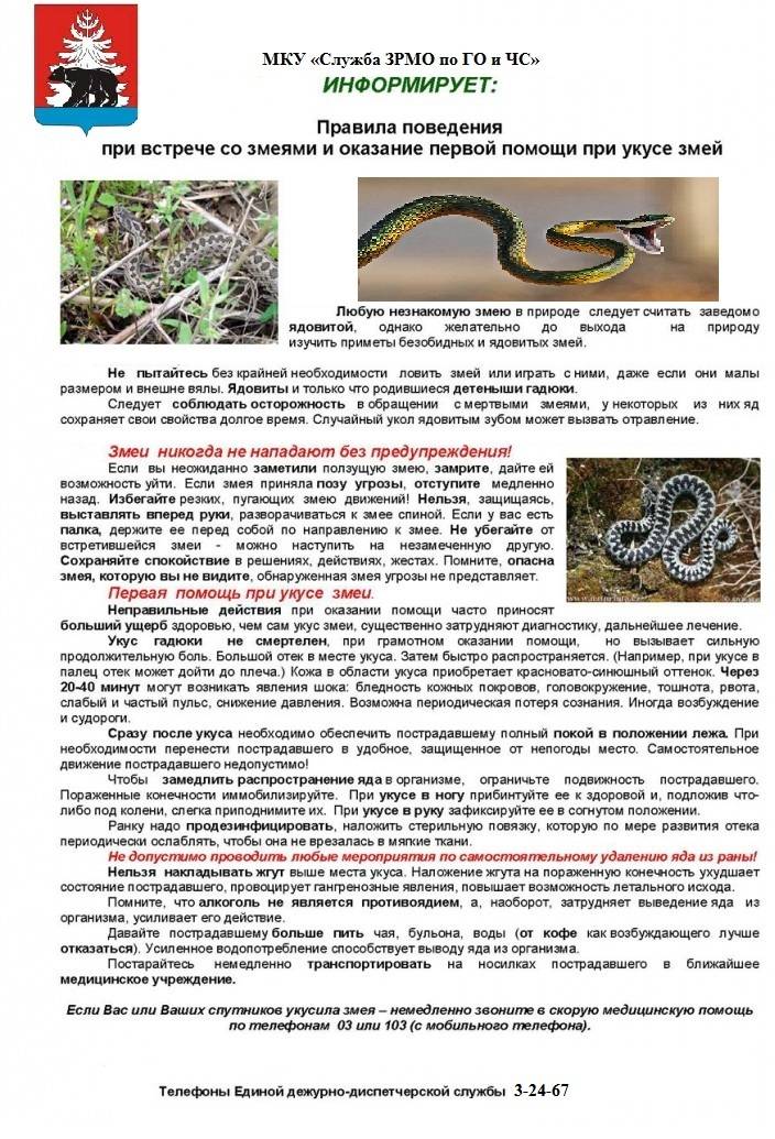 Змея требует ухода, в зависимости от вида: варианты террариумов и ежедневного рациона
 - статья