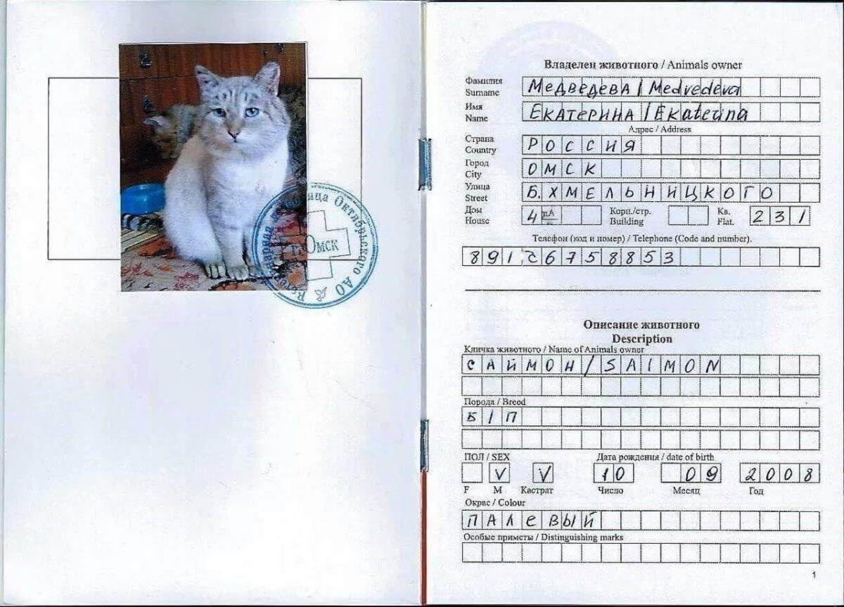 Ветеринарный паспорт для собак