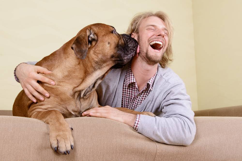 ᐉ как научить собаку улыбаться - ➡ motildazoo.ru
