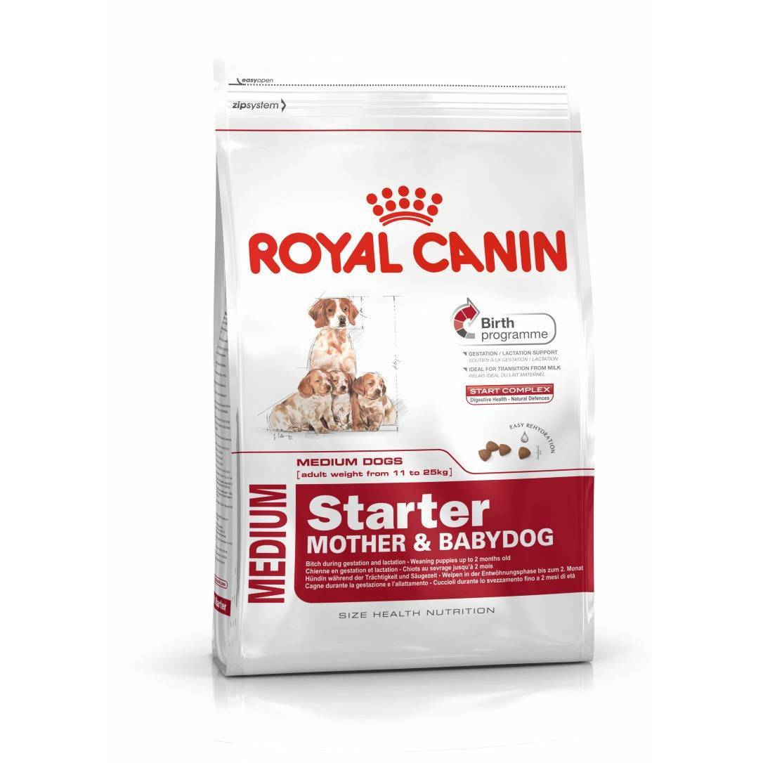 Обзор корма для собак марки royal canin (роял канин)- советы +видео