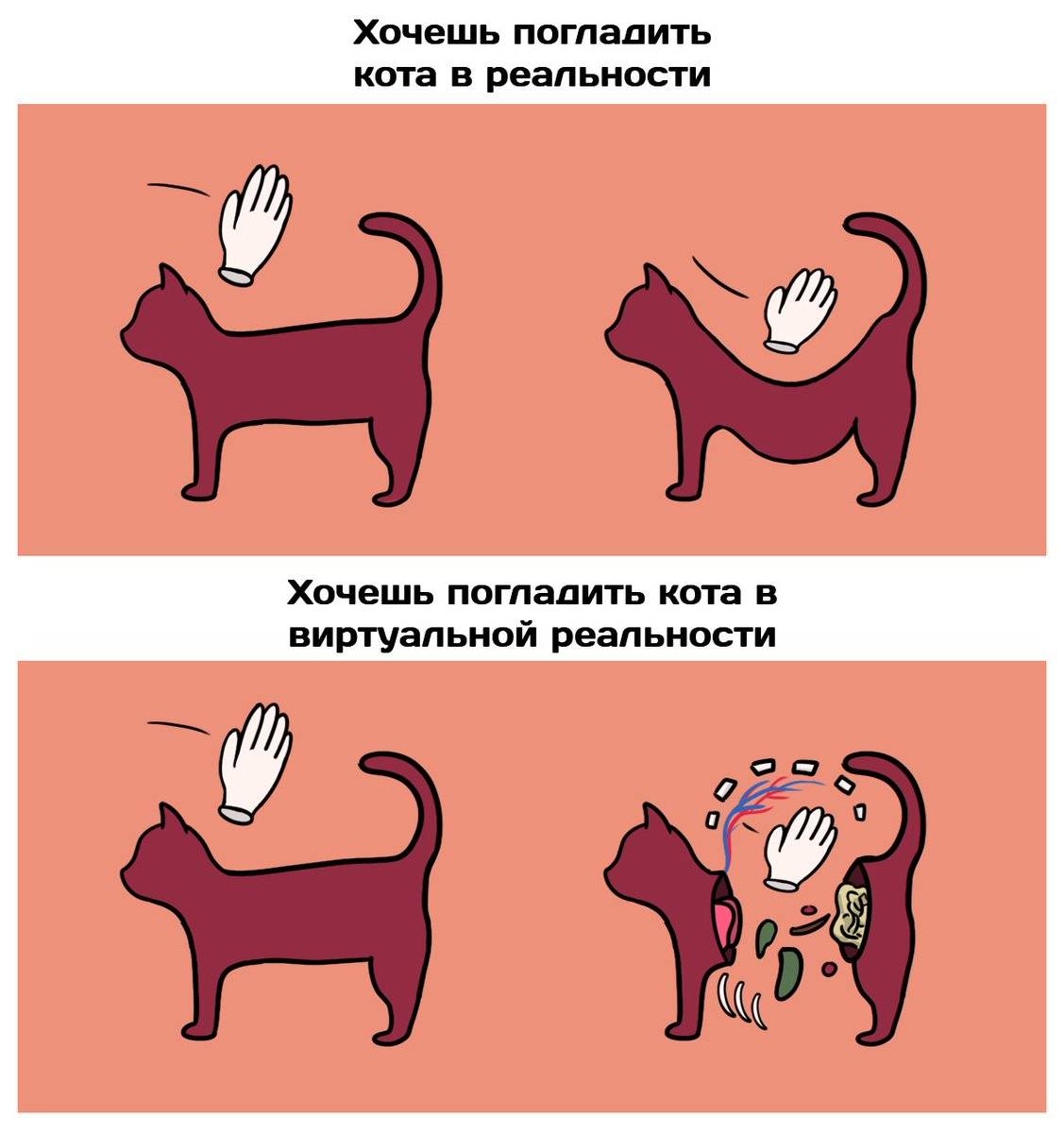Как понравиться кошке: 10 шагов (с иллюстрациями)