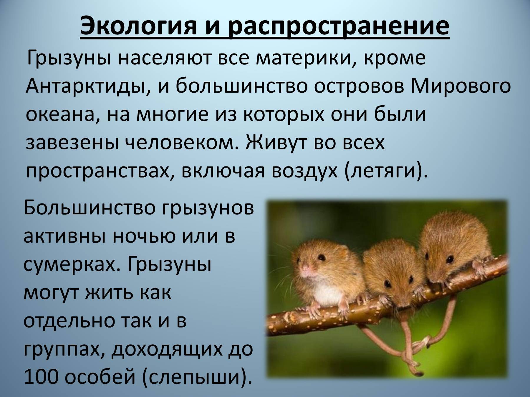 Зачем нужны вредители в природе? статья - otpugiwateli.ru