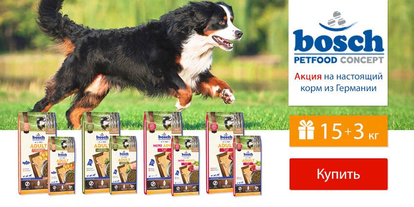 Bosch корм для собак отзывы ветеринаров