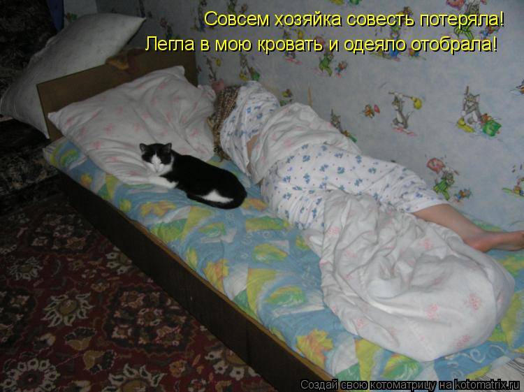 Кот нагадил на кровать — значение приметы